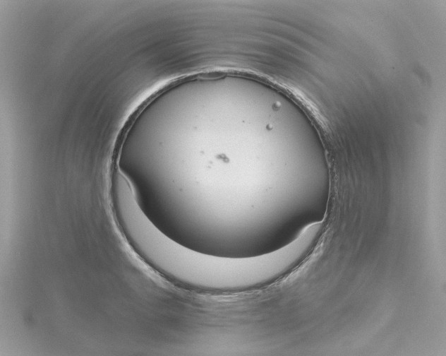 X0000115201134200911181503