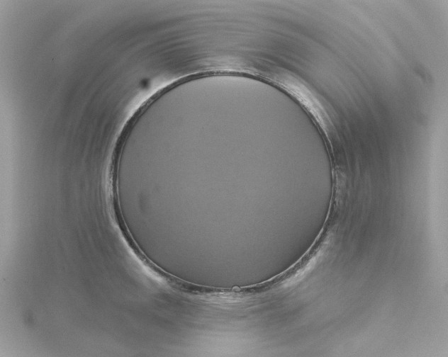 X0000115201141200911181503