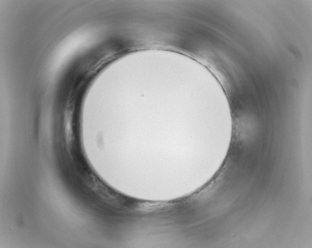 X0000115201150200911181503