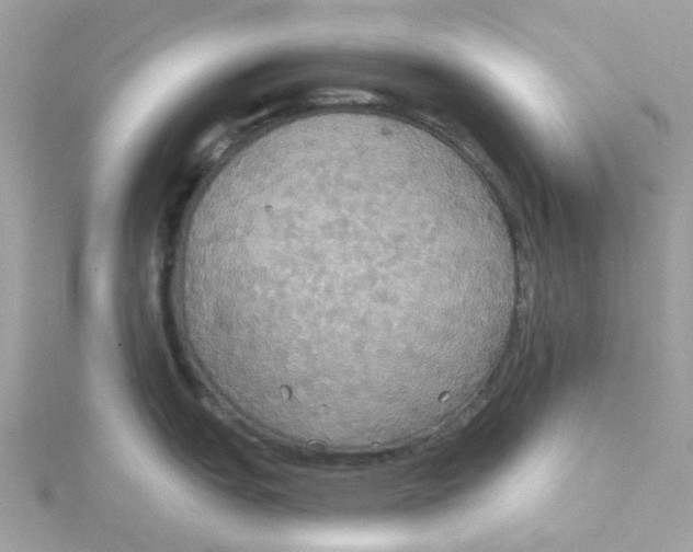 X0000115201151200911181503
