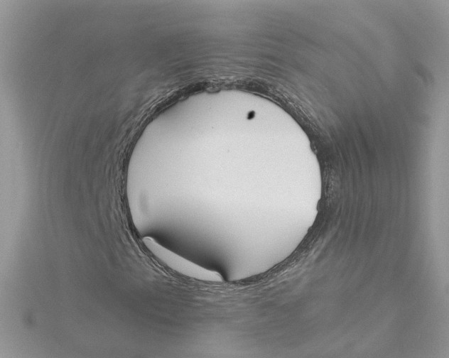 X0000115201153200911181502