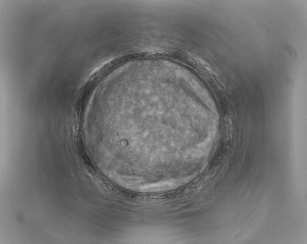 X0000115201158200911181502