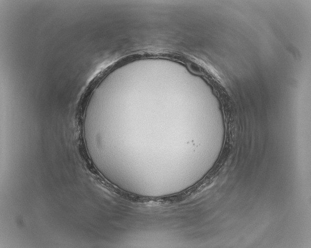 X0000115201160200911181502