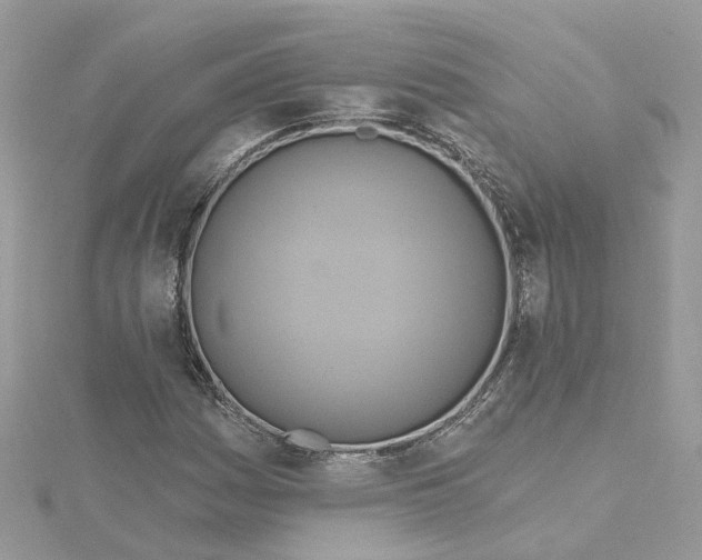 X0000115201161200911181502