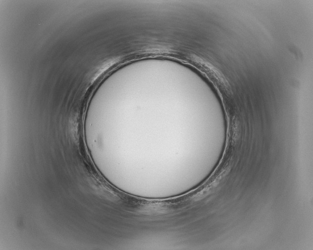 X0000115201162200911181502