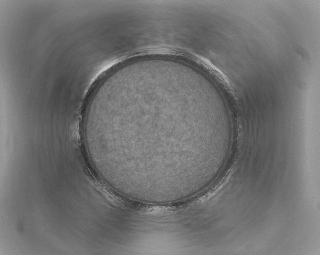 X0000115201166200911181502