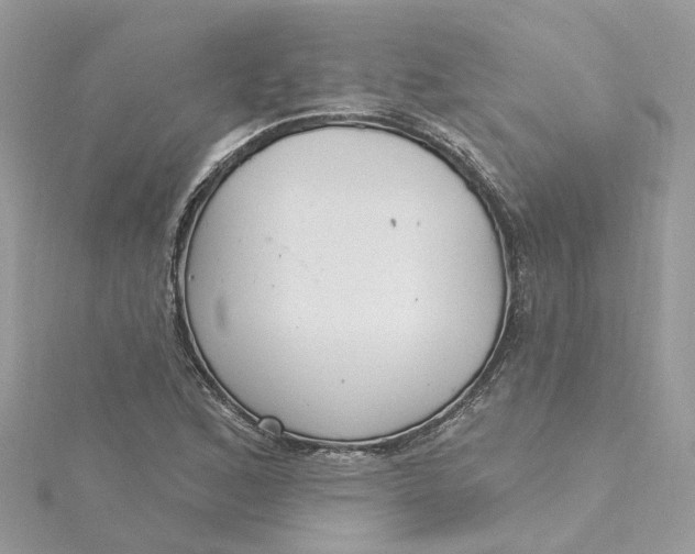 X0000115201168200911181502