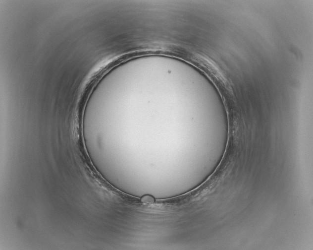X0000115201172200911181502