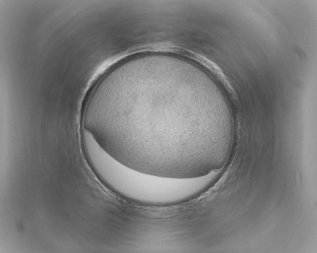 X0000115201176200911181502
