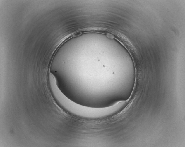 X0000115201177200911181502