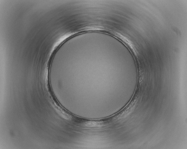 X0000115201179200911181502