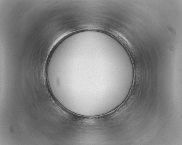 X0000115201182200911181502