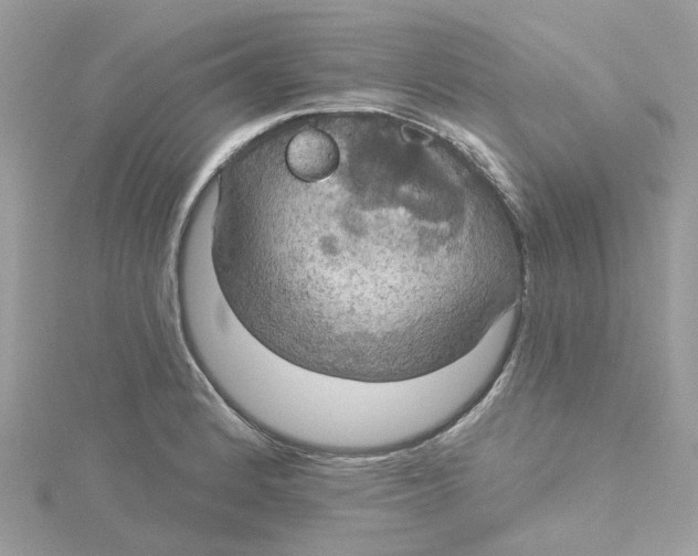 X0000115201184200911181502