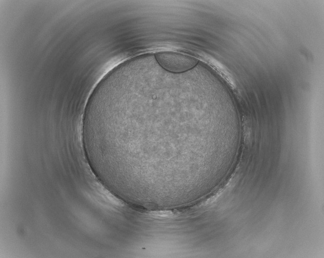 X0000115201186200911181502