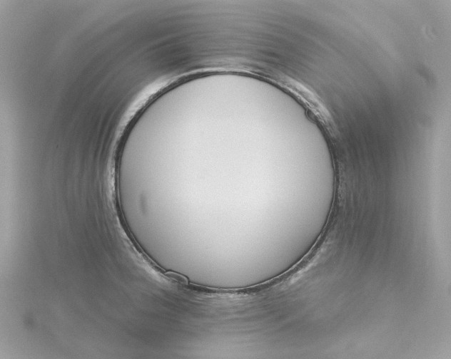 X0000115201188200911181502
