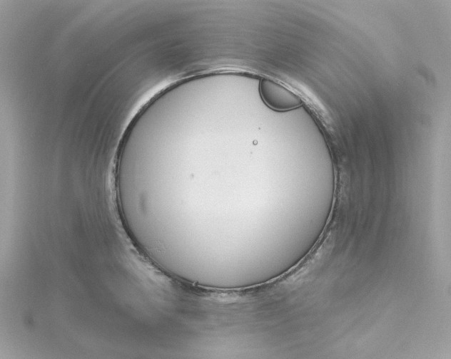 X0000115201190200911181502