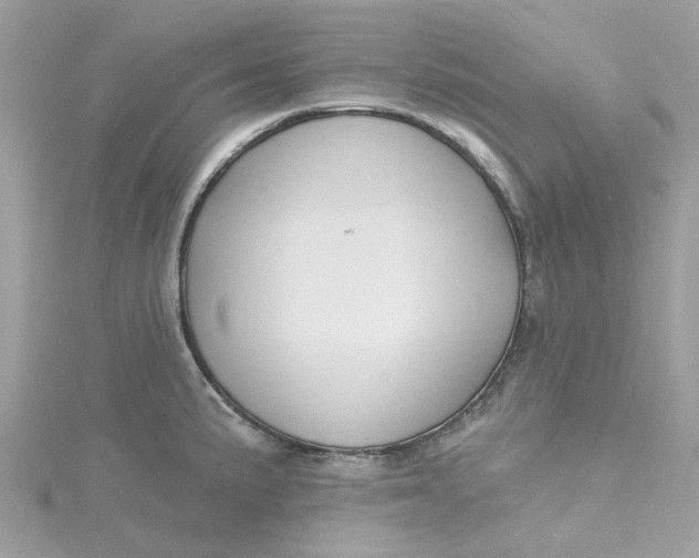 X0000115201191200911181502