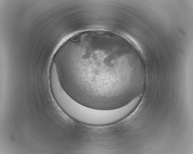 X0000115201192200911181502