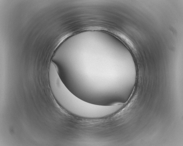 X0000115201193200911181502