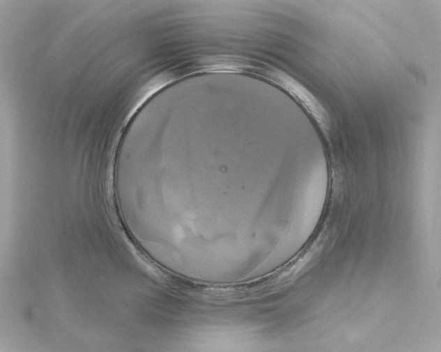 X0000115201194200911181502