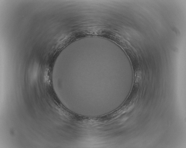 X0000115201202200911181501