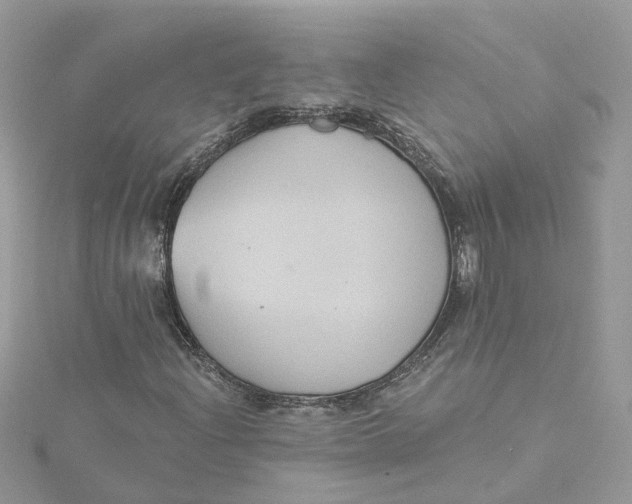 X0000115201204200911181501