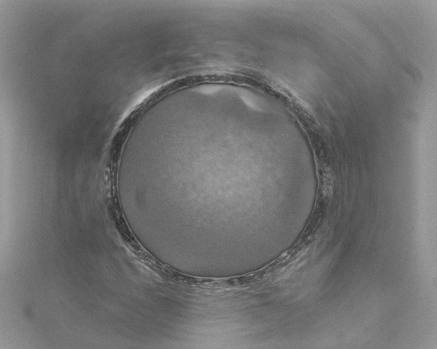 X0000115201208200911181501