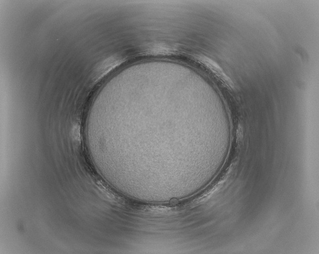 X0000115201209200911181501