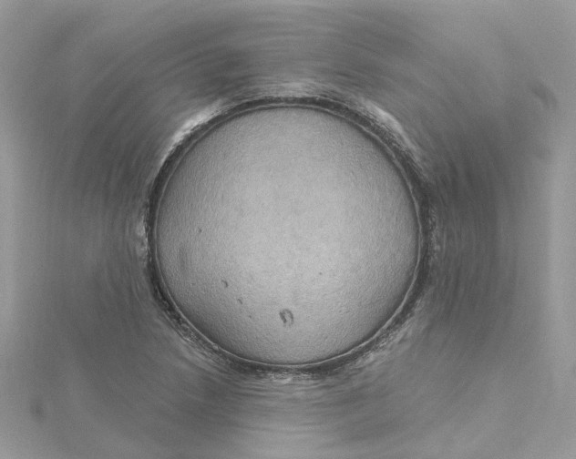 X0000115201218200911181501