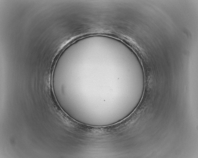 X0000115201220200911181501