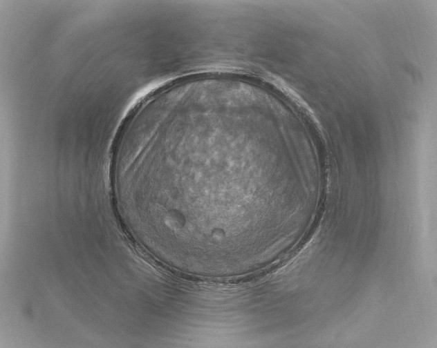 X0000115201222200911181502