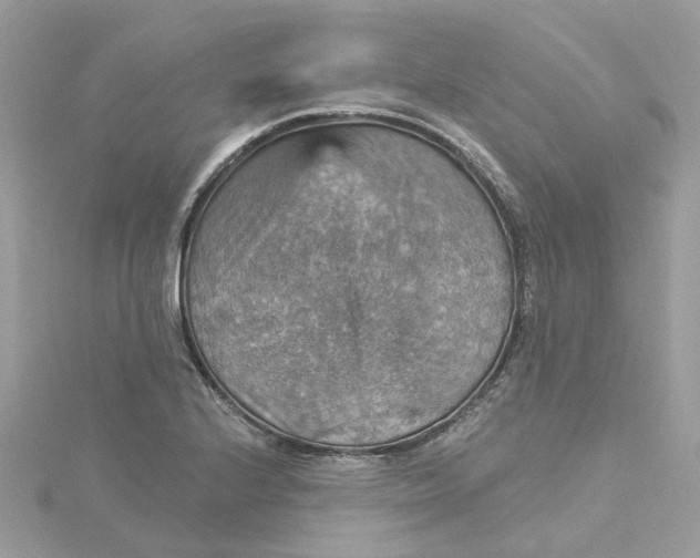 X0000115201224200911181502