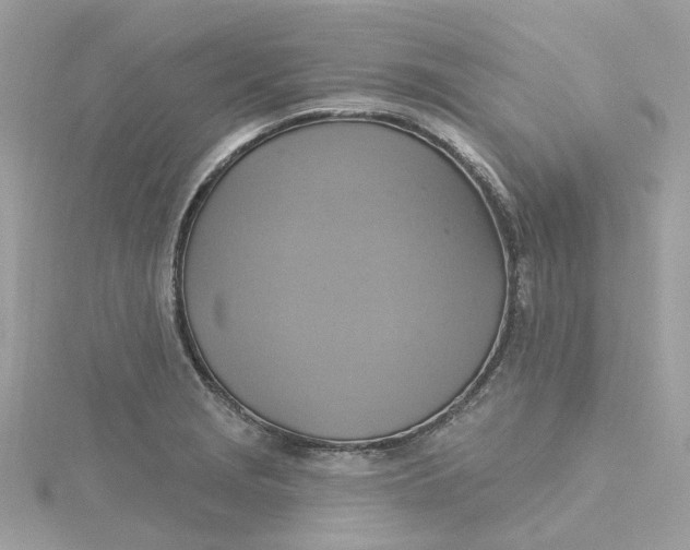 X0000115201229200911181502