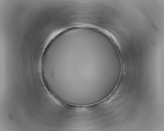 X0000115201231200911181502