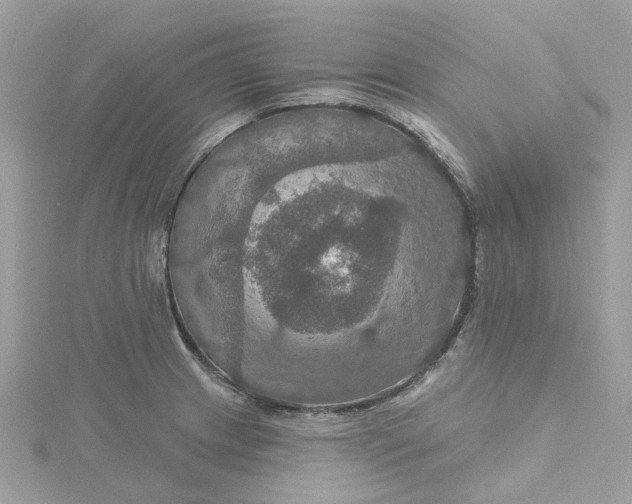 X0000115201233200911181502