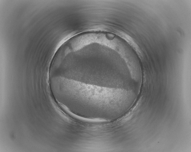 X0000115201234200911181502