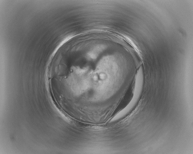 X0000115201235200911181502