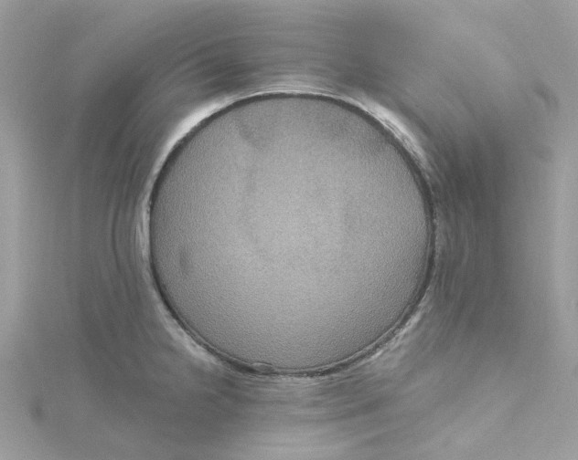 X0000115201238200911181502