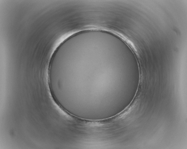 X0000115201239200911181502
