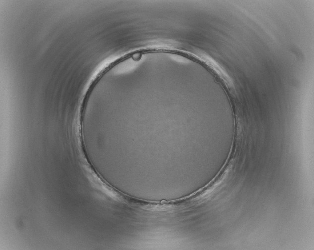 X0000115201240200911181502