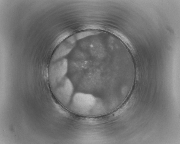 X0000115201241200911181502
