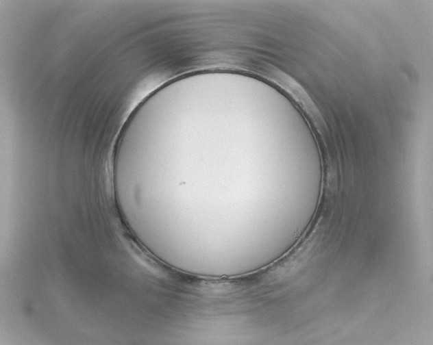 X0000115201242200911181502