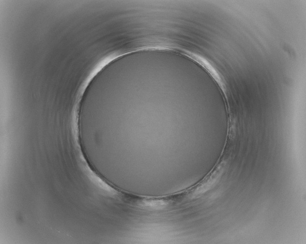 X0000115201243200911181502