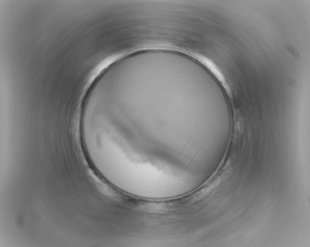 X0000115201245200911181502