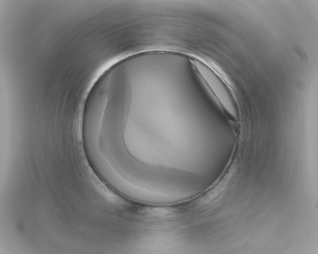 X0000115201246200911181502