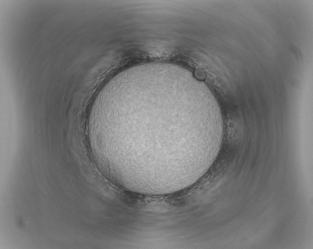X0000115201249200911181501