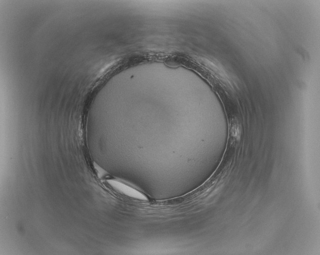 X0000115201252200911181501