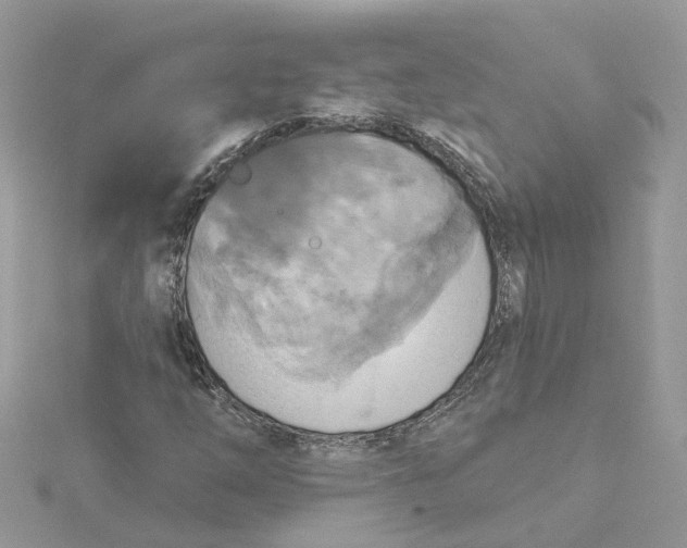 X0000115201254200911181501