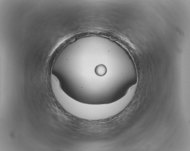 X0000115201256200911181501