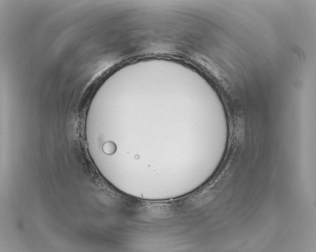 X0000115201258200911181501
